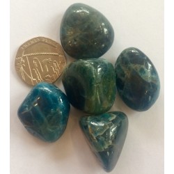 Tumble Apatite Blue/Green Tumble Apatite Blue/Green
